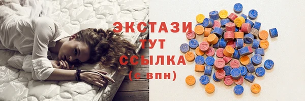 ECSTASY Дмитровск