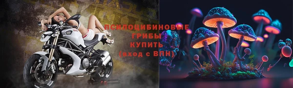 ECSTASY Дмитровск