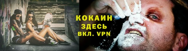 ECSTASY Дмитровск