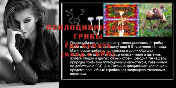 a pvp Дмитриев
