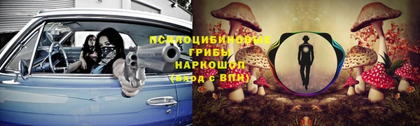 каннабис Дмитров