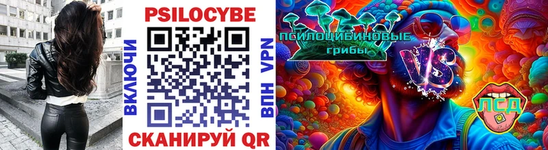 Псилоцибиновые грибы Psilocybine cubensis  Купить  Ветлуга 