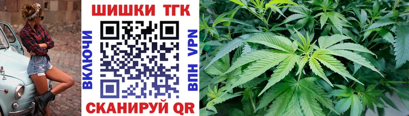 Купить  Ветлуга  Конопля VHQ 